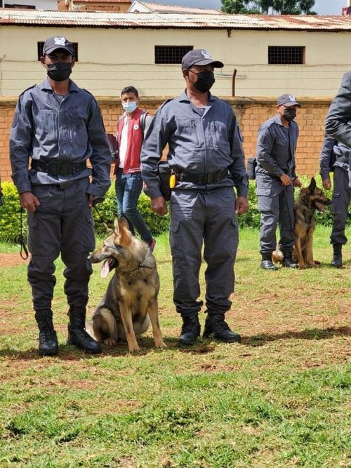 La DGD se dote d'une Brigade Canine pour renforcer son rôle de surveillance