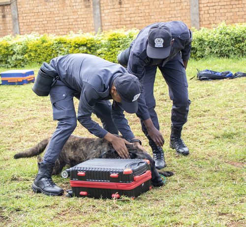 La DGD se dote d'une Brigade Canine pour renforcer son rôle de surveillance