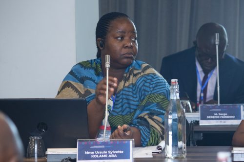 Madagascar accueille une réunion régionale du réseau d'agents de première ligne sur la détection de trafic illicite des matières nucléaires et radioactives