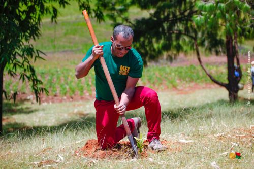 3 000 jeunes plants mis en terre par la Douane Malagasy à Ihazolava