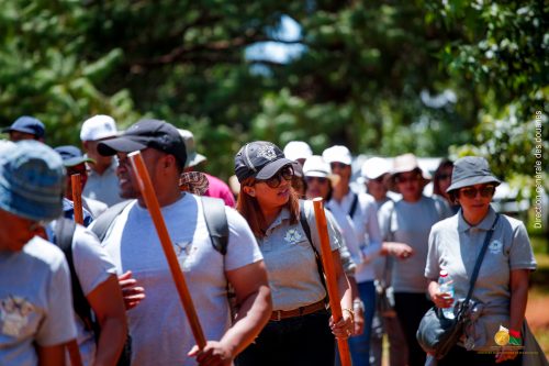 3 000 jeunes plants mis en terre par la Douane Malagasy à Ihazolava
