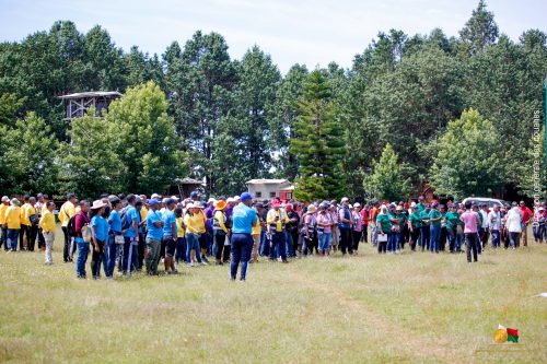 3 000 jeunes plants mis en terre par la Douane Malagasy à Ihazolava