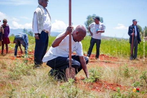 3 000 jeunes plants mis en terre par la Douane Malagasy à Ihazolava
