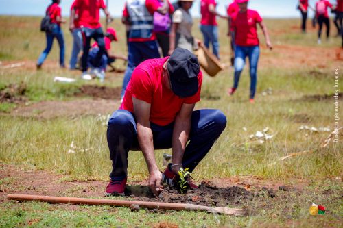 3 000 jeunes plants mis en terre par la Douane Malagasy à Ihazolava