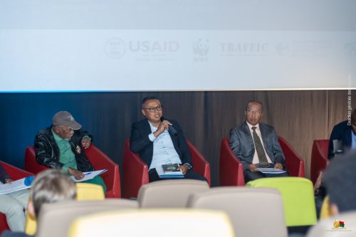Préservation des tortues radiées face au trafic et à la corruption