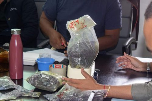 Plus de 56 kg de pierres précieuses ont été saisies par la douane à Mamory Ivato