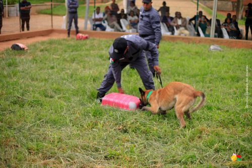 La Brigade canine se dote de nouvelles compétences