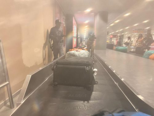 Trafic de devise : 108 200 euros saisie à l'aéroport d'Ivato