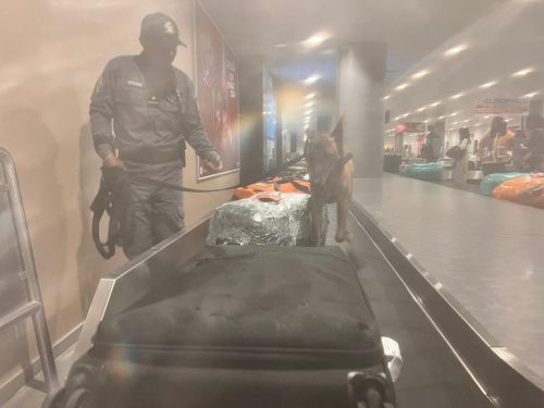 Trafic de devise : 108 200 euros saisie à l'aéroport d'Ivato
