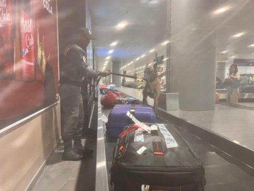 Trafic de devise : 108 200 euros saisie à l'aéroport d'Ivato