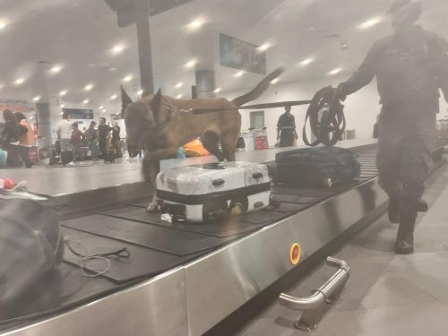 Trafic de devise : 108 200 euros saisie à l'aéroport d'Ivato