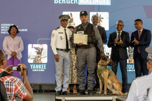 Homme – Animal – Technologie : le triangle gagnant de la Douane Malagasy
