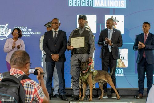 Homme – Animal – Technologie : le triangle gagnant de la Douane Malagasy