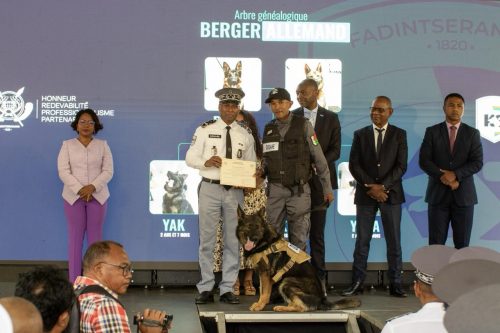Homme – Animal – Technologie : le triangle gagnant de la Douane Malagasy