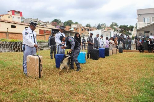Homme – Animal – Technologie : le triangle gagnant de la Douane Malagasy