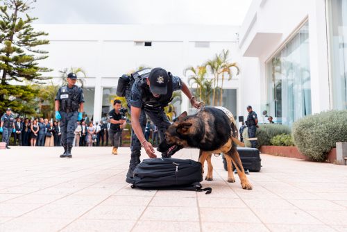 Journée Internationale de la Douane - JID 2026