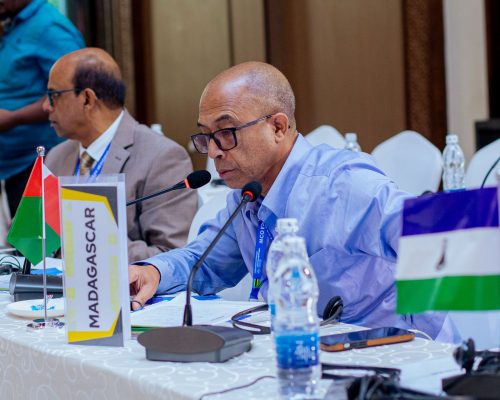 Madagascar consolide son rôle dans la gouvernance douanière régionale