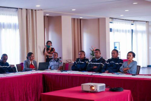 Atelier de renforcement des capacités : la Douane malgache engagée dans l’élaboration d’un guide de détection du trafic d’espèces sauvages