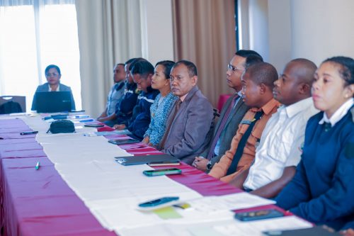 Atelier de renforcement des capacités : la Douane malgache engagée dans l’élaboration d’un guide de détection du trafic d’espèces sauvages